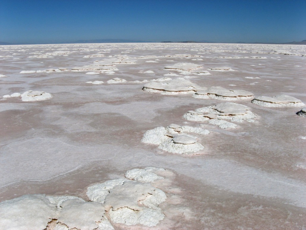 В самых крупных соленых озерах. Соленое озеро Юта. Соленое озеро Боровичи. Большое соленое озеро. Большое соленое озеро США.