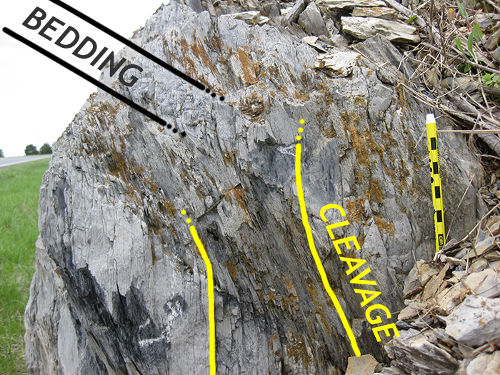 An outcrop of late Ordovician-aged Edinburg Formation crops out in Warren County, Virginia, showing both original bedding (dipping shallowly to the right) as compositional variations and tectonic cleavage dipping steeply to the right and refracting across the layers (getting shallower and more closely spaced in clay rich layers, and steeper and more widely spaced in clay-poor/calcite-rich layers)