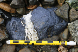 A photograph of a blueschist cobble among other beach cobbles on a beach. The blueschist cobble is about 12 cm long. it is bisected by a white vein. A pencil is in the photo, too, to provide a sense of scale.