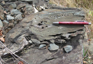 A photograph showing an outcrop of greenstone, with a pen for scale. The round edge of about a quarter section of a basalt pillow is shown. About 2 cm into the pillow from the edge is a prominent train of holes: these are vesicles, ancient gas bubbles. The vesicles range from ~0.5 mm to ~3 mm in diameter.