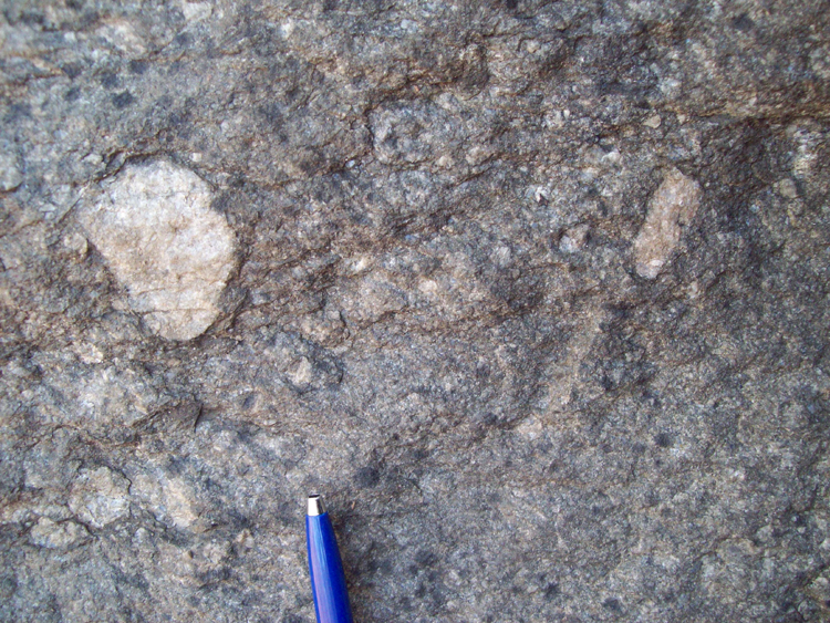 Photograph showing about 10 outsized granite clasts in metadiamictite. A pen provides a sense of scale.