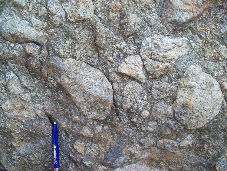 Photograph showing about 30 outsized granite clasts in metadiamictite. A pen provides a sense of scale.