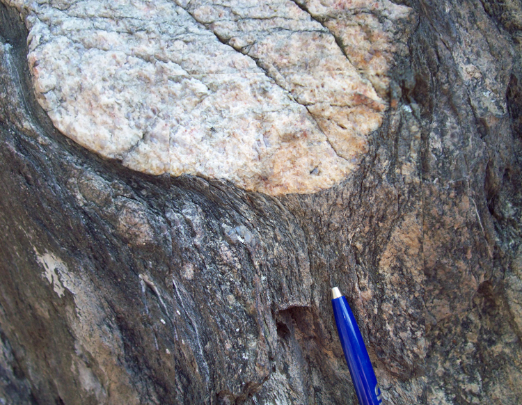 Photograph showing a cobble of granite in metadiamictite, with vertical metamorphic foliation "fanning out" as it approaches the cobble, wrapping around it. A pen provides a sense of scale.