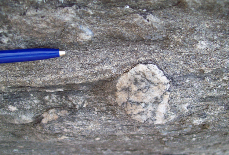 Photograph showing a cobble of granite in metadiamictite, draped by a sandy layer parallel to horizontal foliation. A pen provides a sense of scale.