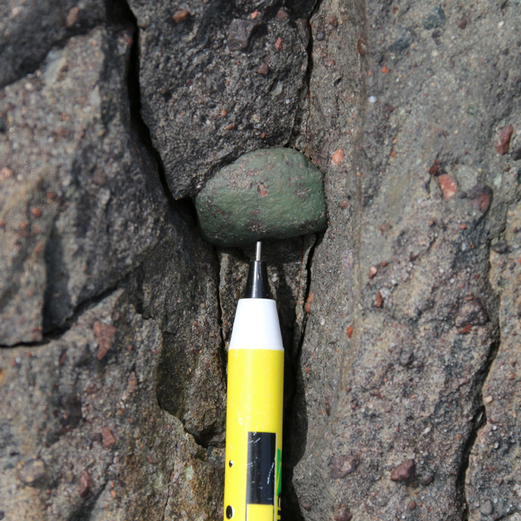 Photograph showing a large (pebble-sized) clast within a poorly sorted diamictite, with a pencil for scale.