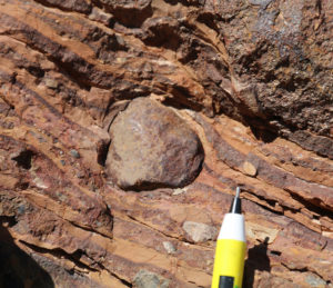 Photograph showing a ~3cm wide dropstone in 1- to 8-mm thick sedimentary layers of the Kingston Peak diamictite.