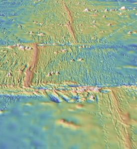 Oblique view of seafloor bathymetry along the East Pacific Rise, showing oceanic ridge segments separated along perpendicular transform faults (fracture zones).