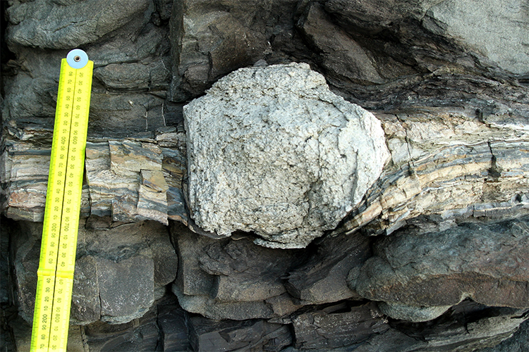 Photograph showing a large (20 cm diameter) dropstone in layered gray and white sediments. A yellow ruler provides a sense of scale.