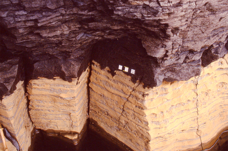 Photograph showing a blocky outcrop of very dark flaky rock overlying tan and gray well-layered strata, exposed at the edge of a lake. A ruler provides a sense of scale.