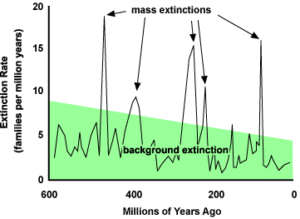 Mass extinctions versus background extinctions. The green shaded area represents extinction that is occurring all the time. Species turnover at low rates, or even when rates are a bit elevated above background levels, are not unusual (Permission: University of California Museum of Paleontology's Understanding Evolution (http://evolution.berkeley.edu).