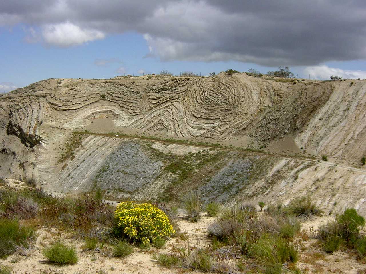 Folds exposed in a roadcut along Highway 14 in Palmdale, California, adjacent to San Andreas fault. With permission by: Garry Hayes and Susan Hayes from: http://geotripperimages.com/Tectonic_Processes/Folds.htm