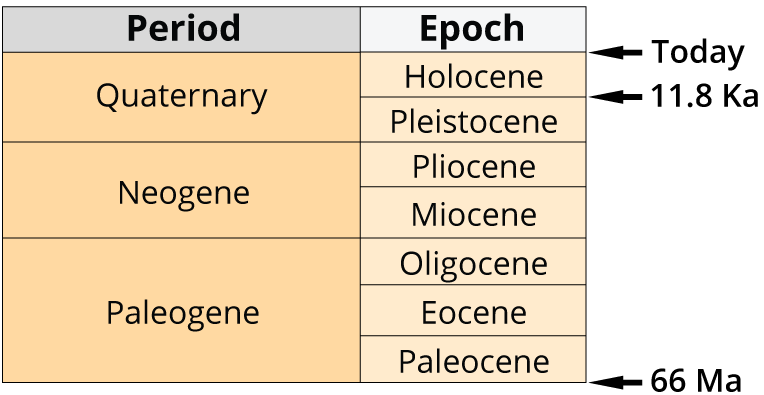 Epochs of the Paleogene, Neogene, and Quaternary periods. Image by Jonathan R. Hendricks. Creative Commons License This work is licensed under a Creative Commons Attribution-ShareAlike 4.0 International License.