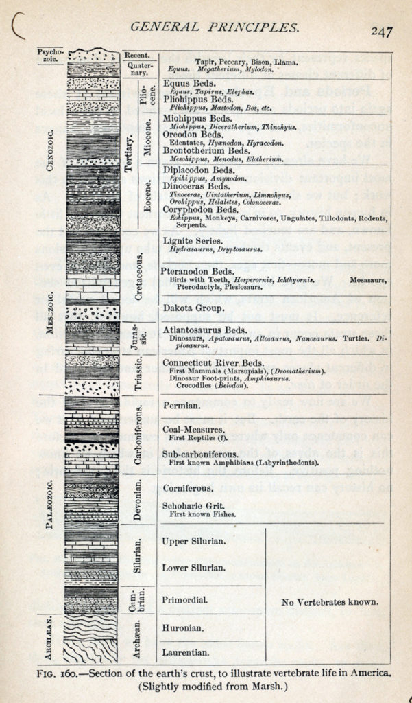 Geological time scale from Le Conte (1885) (public domain).