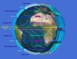 Atmospheric circulation patterns at equinox position (Spring or Autumn). Note the positions of Hadley Cells through Polar Cells by latitude and their deflection due to the Coriolis Effect. (Source: NASA)