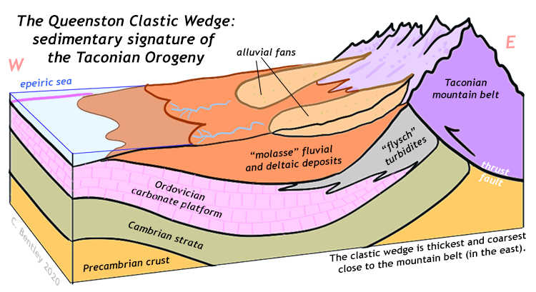 Cartoon-Querschnitt, der die Entwicklung des Queenston Clastic Wedge westlich des Taconian Mountain Belt zeigt. Die Molasse ist in der Nähe des Berggürtels im Osten am dicksten und gröbsten und im Westen dünner und feiner.