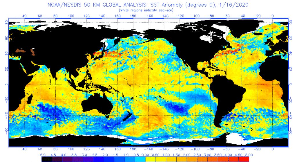 Sea surface anomaly analysis for January 16, 2020. Which regions of the sea surface are warmer or cooler than normal? (Source: NOAA)