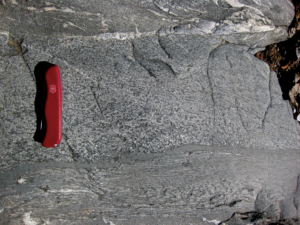 軽く変成したメタturbiditesの傾斜したベッドを示す写真。 いくつかの石英の静脈も存在する。 小型のナイフはスケールの感覚を提供する:等級別にされたベッドは厚さ約20cmである。