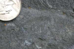 zdjęcie przedstawiające ooidy, małe kule kalcytu, w wapieniu. Ćwiartka (moneta) daje poczucie skali. Ooidy są wielkości piasku.