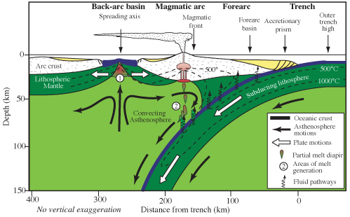 A cross section of a subduction zone, including both a forearc and backarc basin. Backarc basins can eventually develop into divergent margins over time and under the right conditions.