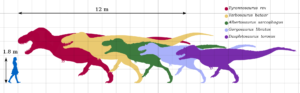 This shows the animals, all of which are much larger than a human.