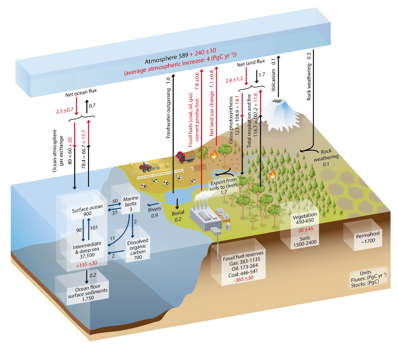 The carbon cycle, including anthropogenic inputs. Pg stands for petagrams of carbon per year. Numbers in boxes represent the total mass of carbon in the reservoir (stock). Numbers next to arrows represent fluxes, or changes in carbon concentrations from 200-2009. Black numbers are natural fluxes. Red numbers are anthropogenic fluxes. Both carbon dioxide and methane, among other carbon compounds, are included (Source: IPCC 5th Assessment Report).