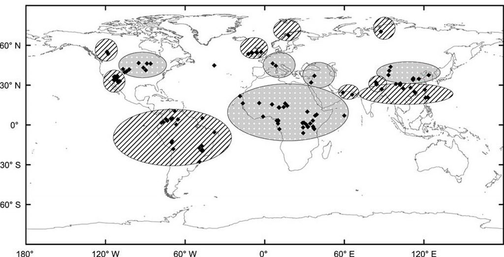 Global distribution of the 4.2ky event, as shown by hatched (wet conditions) and dotted (dry) areas (Source: By Jianjun Wang, Liguang Sun, Liqi Chen, Libin Xu, Yuhong Wang & Xinming Wang - The abrupt climate change near 4,400 yr BP on the cultural transition in Yuchisi, China and its global linkageMaterial provided under a Creative Commons 4.0 license:This article is licensed under a Creative Commons Attribution 4.0 International License, which permits use, sharing, adaptation, distribution and reproduction in any medium or format, as long as you give appropriate credit to the original author(s) and the source, provide a link to the Creative Commons license, and indicate if changes were made.", CC BY-SA 4.0, https://commons.wikimedia.org/w/index.php?curid=79003517).