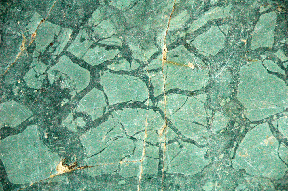 Photo showing a 1 m by 0.5 m slab of green argillite with many polygon-shaped mudcracks. No sense of scale is provided.