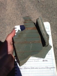 Photograph showing an angular sample of green rock measuring 11 cm wide by 18 cm long. It shows stripes between white/brown quartzite layers and the thicker green argillite layers.