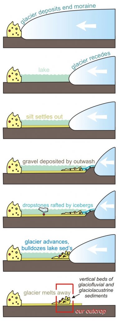 A cartoon sequence of cross-sectional images showing one model / hypothesis for the development of near-vertical beds of stratified drift. In the first stage, a glacier deposits an end moraine. In the second stage, the glacier recedes, with a lake forming between the moraine and the glacial terminus. In the third stage, silt settles out in the lake. In the fourth stage, gravel is deposited by glacial outwash rivers that flow into the lake. In the fifth stage, icebergs calved from the glacier into the lake bring dropstones out into the lake's offshore sediments. In the sixth stage, the glacier advances again, bulldozing through the lake sediments. In the seventh and final stage, the glaciers have melted away, but the vertical beds of glaciofluvial and glaciolacustrine sediments remain as testimony to the sequence of steps we've described.