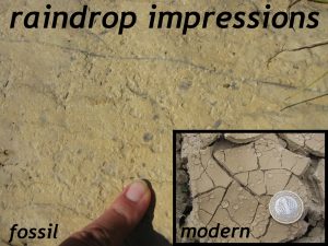 A photograph of a slab of yellowish argillite, showing small divots in its surface. An inset photo shows modern mudcracks also bearing raindrop impressions.