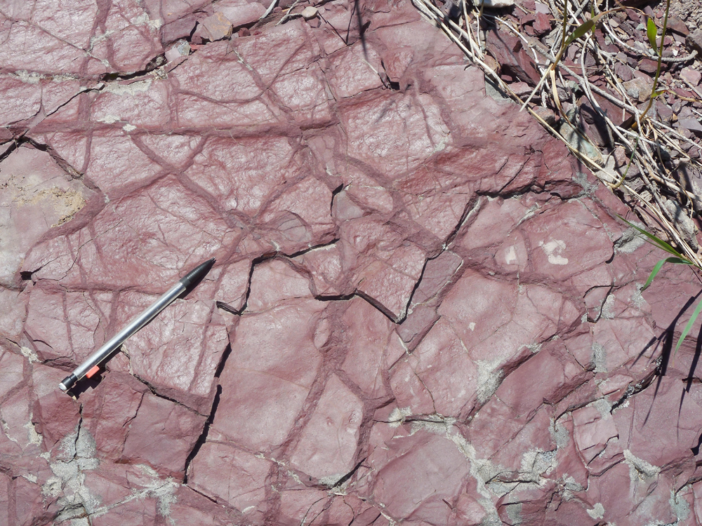 Photograph of desiccation cracks in red argillite, filled in with dark red silt. A pen provides a sense of scale.