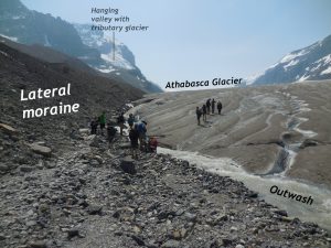 Photograph of the downstream end of a glacier. The glacier is labeled "Athabasca Glacier" and off in the distance, a "Hanging valley with tributary glacier" is labeled on the mountainside. A group of geologists is standing on the dirty ice, and another group examines a rushing creek that has developed next to the ice. The creek is labeled "Outwash." Next to the glacier is a linear ridge of till, labeled as a "Lateral moraine." In the foreground is a bunch of gravel.