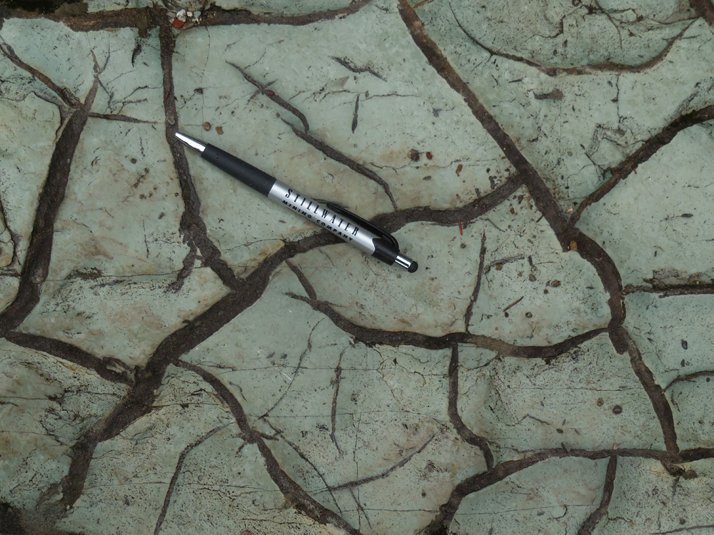 Photograph of desiccation cracks in green argillite, filled in with dark sand. A pen provides a sense of scale.