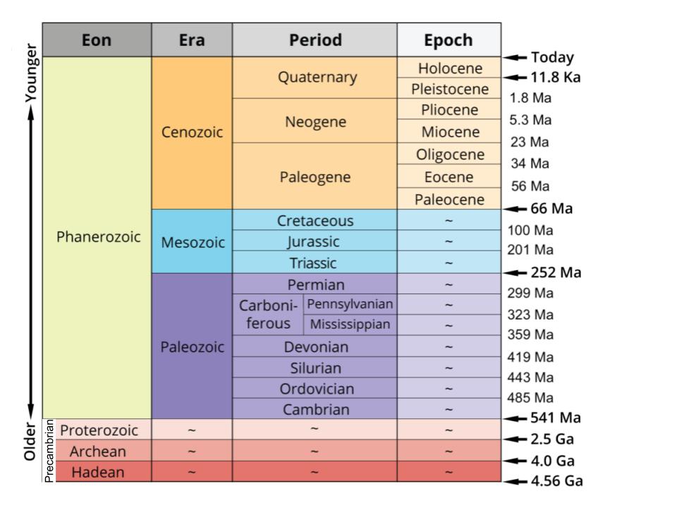 The geological time scale. Edited. Original image by Jonathan R. Hendricks. Creative Commons License This work is licensed under a Creative Commons Attribution-ShareAlike 4.0 International License.