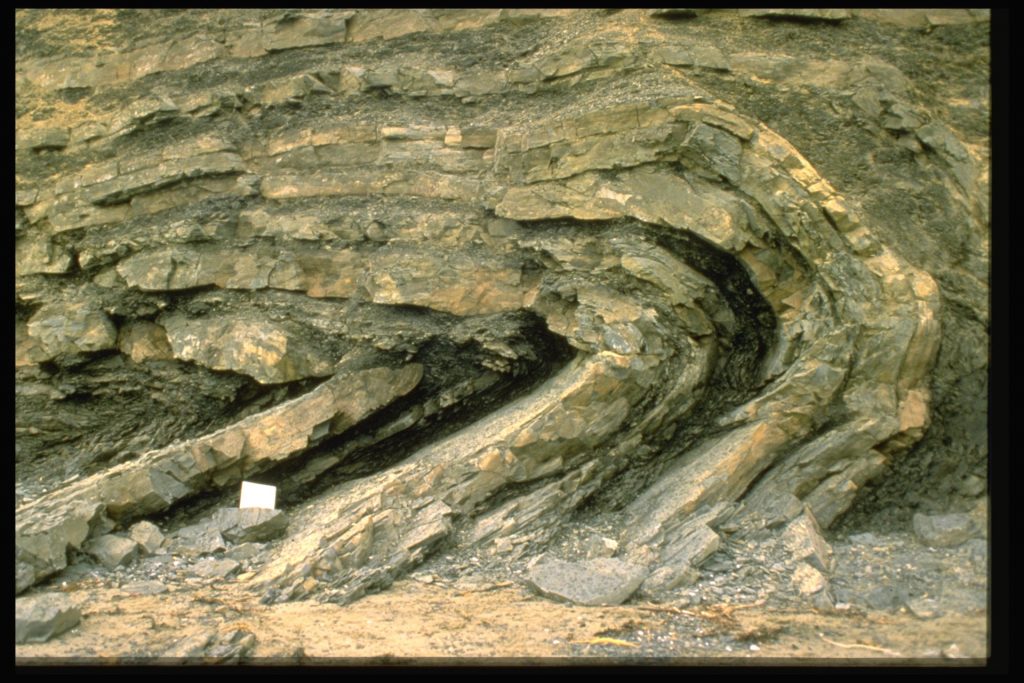 Recumbent Fold from Recumbent fold, Port au Port Peninsula, Newfoundland. CC BY-NC 4.0 from: https://openeducationalberta.ca/introductorystructuralgeology/chapter/e-folded-surfaces/