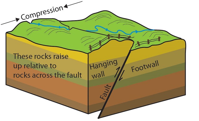 A reverse fault formed by the tectonic force of compression along a convergent plate boundary. By: Trista L. Thornberry-Ehrlich, Colorado State University. From: National Park Service, Public Domain.