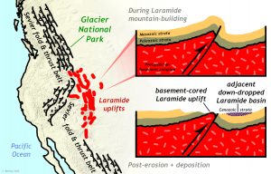 A map and pair of cross-sectional cartoons to show details of Laramide mountain-building and to contrast it with Sevier mountain-building. On the left is a map of the western part of central North America. On it is shown a belt of north-northwest-trending thrust faults, with the sawteeth symbols (indicating the hanging wall) on the southwest side. In Utah and Nevada, the trend of these thrusts shifts to north-northeast, but it resumes the NNW trend in Mexico. The position of Glacier National Park is indicated on the eastern edge of this "Sevier fold and thrust belt" in northern Montana. In the central United States part of the map, but further to the east from the Sevier fold and thrust belt is a region of lumpy blobs marked "Laramide uplifts." The cross-sections appear to the right of these in the graphic. The upper cross-section shows the situation "During Laramide mountain-building," with a huge thrust fault breaking the Precambrian basement complex and shoving it upward and eastward. Two big layers of Paleozoic strata and Mesozoic strata atop the basement are arched upward over the leading tip of the fault, making an anticline. To the east, there is a matching down-dropped syncline. At the bottom, the post-erosion+deposition situation is shown, where the Mesozoic and Paleozoic strata have been removed by erosion to expose the basement core of the Laramide uplift. Meanwhile, the downdropped synclinal basin to the east has accumulated a lens-shaped deposit labeled "Cenozoic strata."