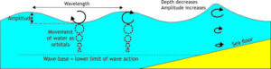 Diagram illustrating the orbital movement of water beneath surface waves