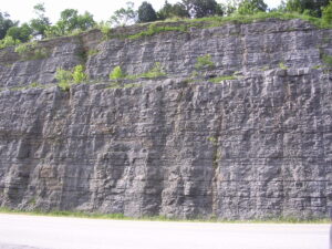 Conformable Ordovician limestone layers near Carthage, Tennessee
