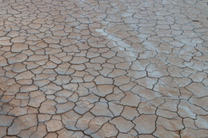Photograph showing cracked polygons of mud.