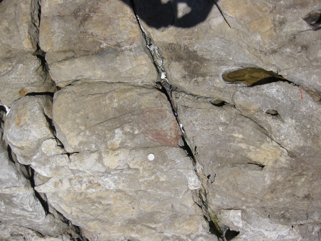 Animated GIF showing annotation of a photograph of up-side-down cross-bedding. Three trough-cross-beds of quartzite are horizontal across the field of view. A coin serves as a sense of scale. The cross-beds are concave-DOWN, with truncated LOWER surfaces and tangential UPPER surfaces. Paleo-"up" is therefore at the BOTTOM of the photo.
