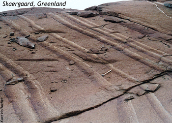 Photograph showing an oblique view over a pavement outcrop of plutonic (intrusive) igneous rock. Seven "beds" stretch from the foreground away into the distance, each showing "graded bedding" with a concentration of mafic (dark) minerals at left, and a concentration of light-colored plagioclase feldspar at upper right.