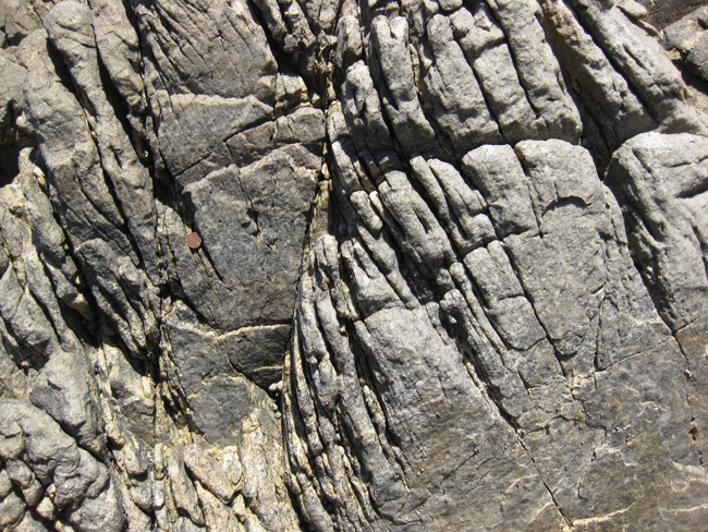 Animated GIF showing annotation of a photograph of vertically-oriented cross-bedding. Three beds of quartzite are dipping vertically through the field of view. A penny serves as a sense of scale: the beds are about 10-50 cm thick. The cross-beds are concave-to-the-right, with truncated RIGHT surfaces and tangential LEFT surfaces. Paleo"up" is therefore to the right.