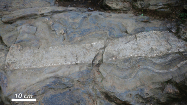 Animated GIF showing the evolution of a Connecticut outcrop. (1) tectonic compression from front to back produces a foliation that runs left to right across the screen, (2) tectonic compression from left to right folds this foliation, (3) tectonic extension front to back opens up a fracture, which (4) fills with magma, (5) cooling into a granite dike.