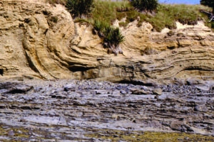 Recumbent slump fold in Miocene turbidites, New Zealand