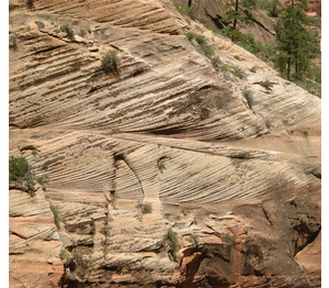 Animated GIF that shows multiple beds bearing cross-bedding in a vertical cliff of sandstone. The image cycles between a raw photograph and an annotated overlay, with each of the ~10 main beds highlighted, and the crossbeds within the beds traced out. Bedding dips gently to the right side of the screen. All the crossbeds dip moderately to the left side of the screen. The crossbeds are tangential to the main bed at the bottom, and are truncated abruptly by the overlying bed at the top.