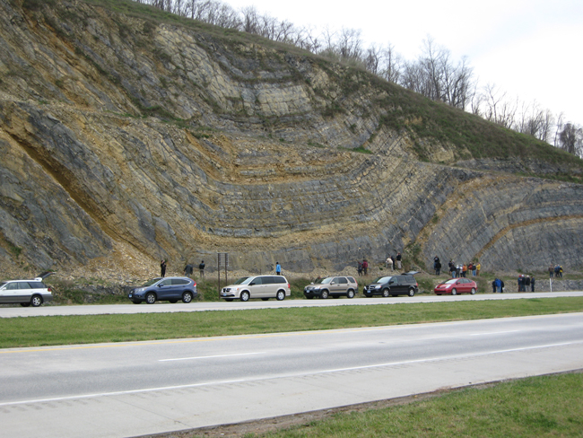 Photograph of an outcrop of folded layers of sedimentary rock, with six cars and a couple dozen geologists for scale.