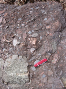 Photograph showing a maroon conglomerate with many angular clasts. A pocket knife provides a sense of scale.