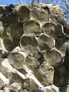 Photgraph showing a near-vertical outcrop of basaltic cooling columns, viewed on end. They make a hexagonal pattern, like honeycomb.
