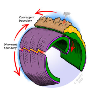 Cartoon perspective on three curvitabular plates: two of oceanic lithosphere and one of mixed continental and oceanic lithosphere. A divergent boundary separates the two oceanic plates; one of them dives beneath the continent at an adjacent convergent boundary which produces a magmatic arc system.